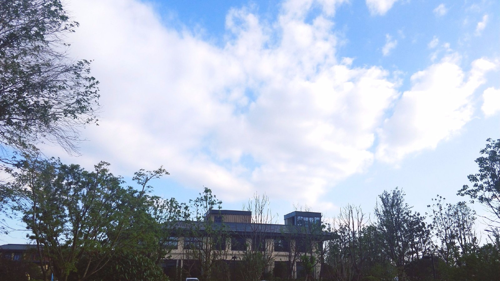 微信图片_20180713102655_副本_副本.jpg
